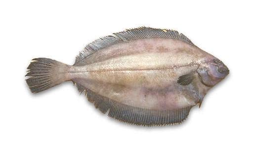 Seafood Products - Grey Sole