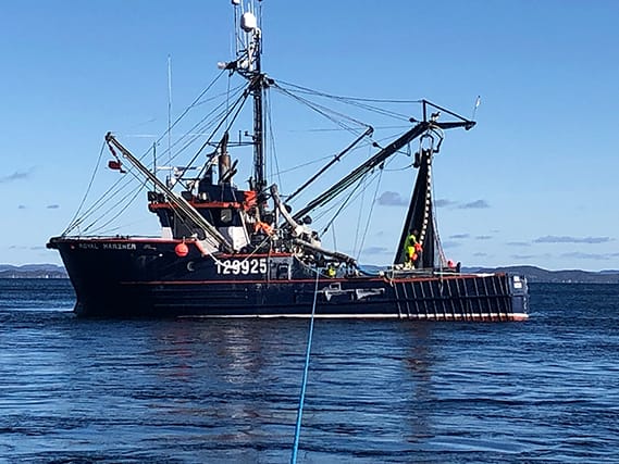 Fisheries Consultations